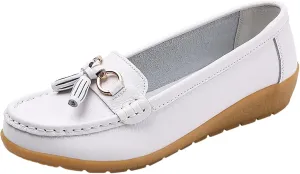Comfy Shoes for Women Comfortable Walking Shoe Slip On Loafers Flat Penny Loafers Dress Office Shoes Business Shoe